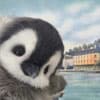 信息捕手